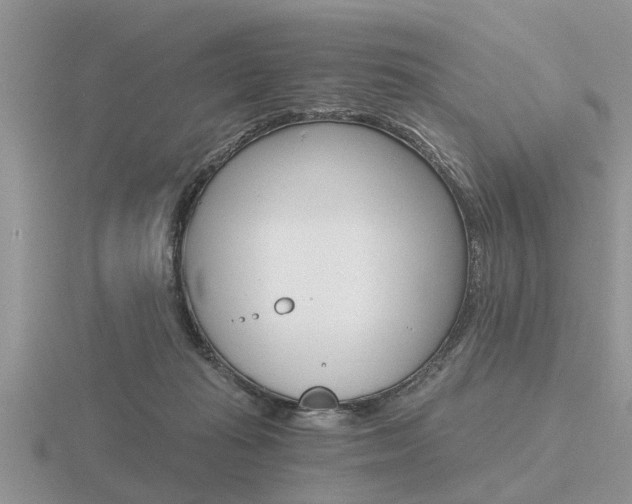 X0000116640269200912140951