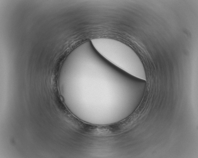 X0000116640270200912140951