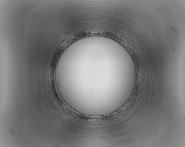 X0000116640272200912140951