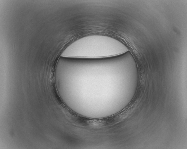 X0000116640273200912140951