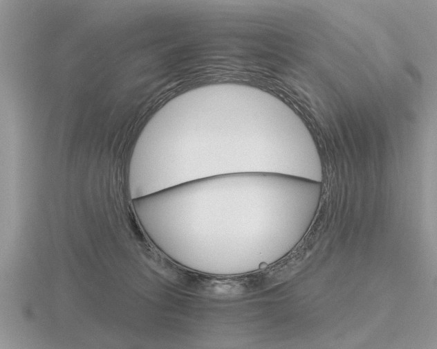 X0000116640275200912140951