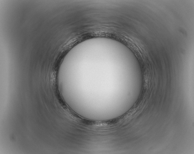 X0000116640278200912140951