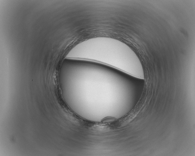 X0000116640280200912140951