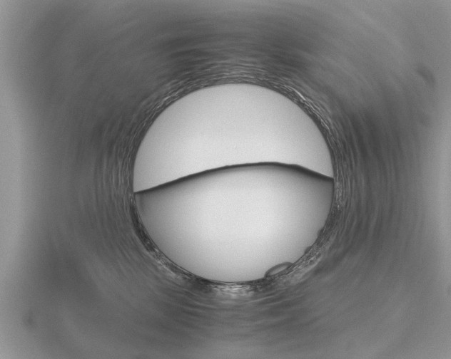 X0000116640281200912140951