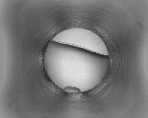 X0000116640282200912140951