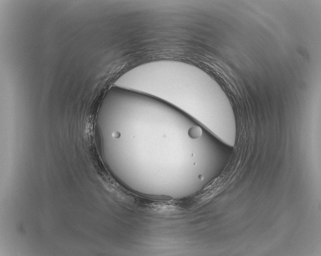 X0000116640284200912140951