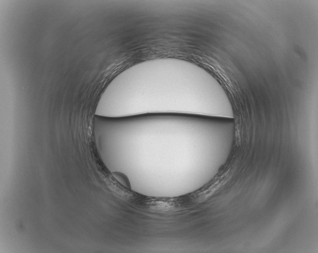 X0000116640285200912140951