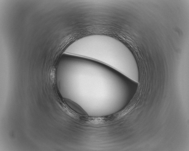 X0000116640288200912140951