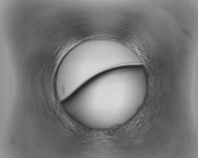 X0000116640289200912140951