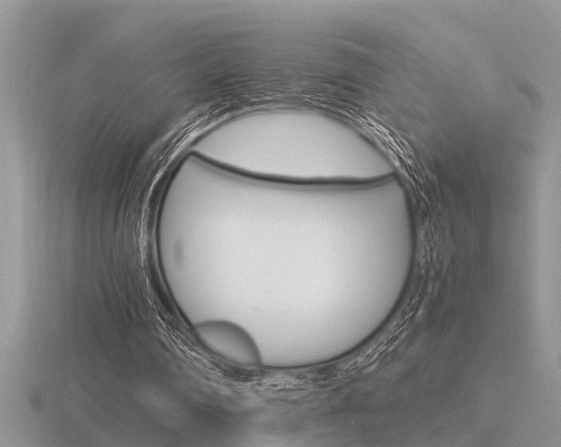 X0000116640290200912140951