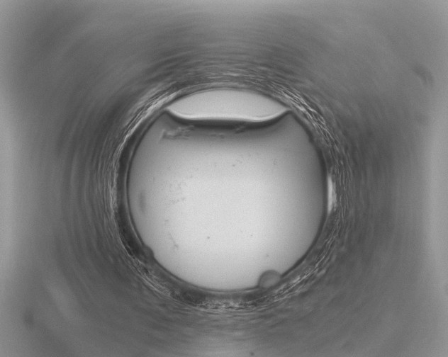 X0000116640291200912140951