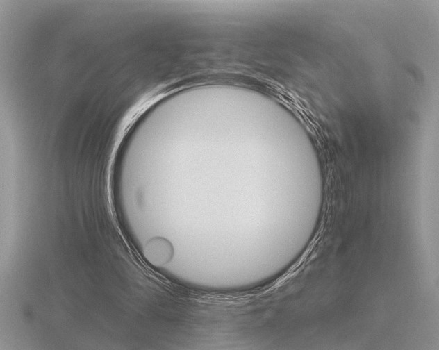 X0000116640294200912140951