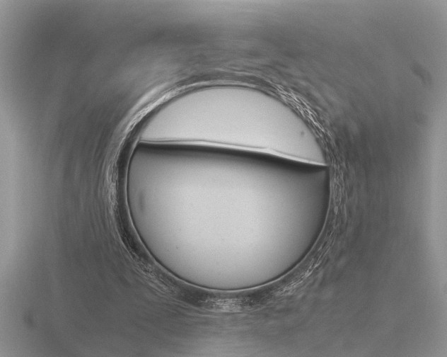 X0000116640295200912140951