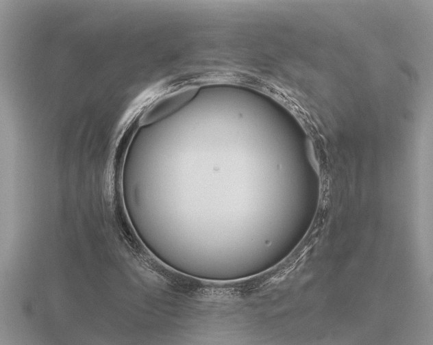 X0000116640296200912140951