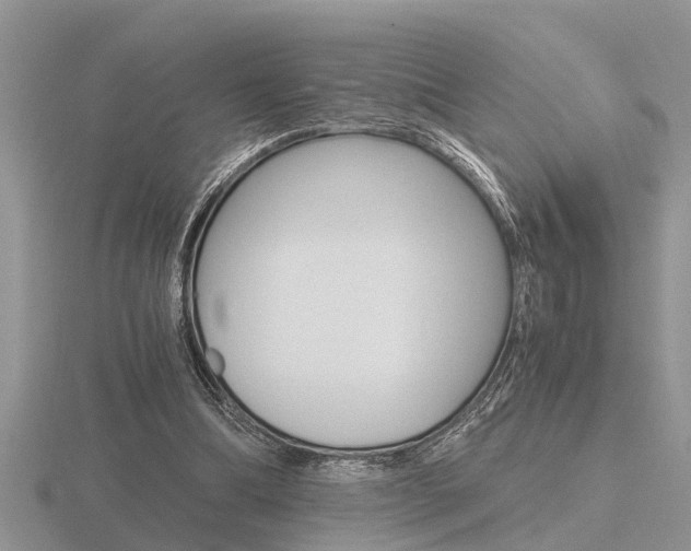 X0000116640298200912140951