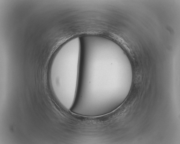 X0000116640299200912140951