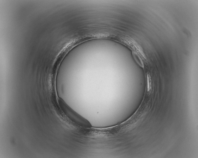 X0000116640300200912140950