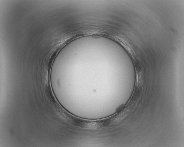 X0000116640301200912140950