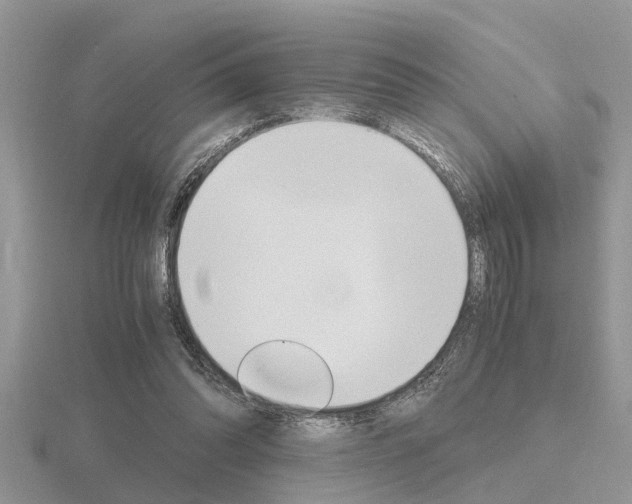 X0000116640302200912140950