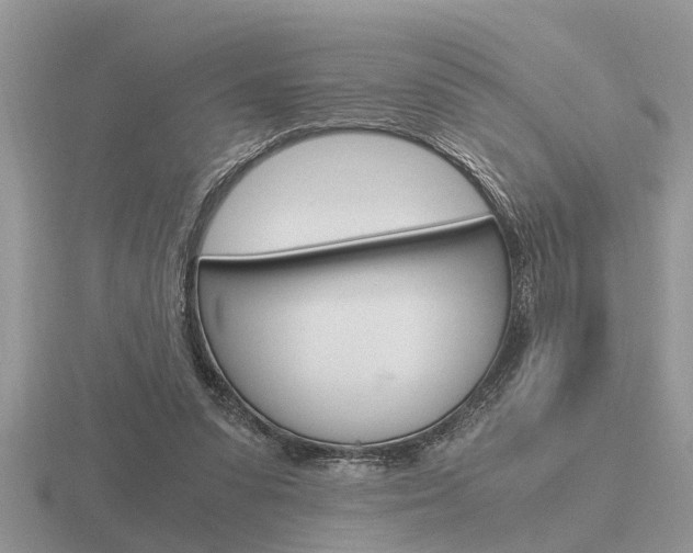 X0000116640303200912140950