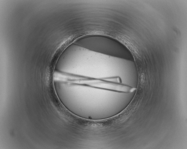 X0000116640304200912140950