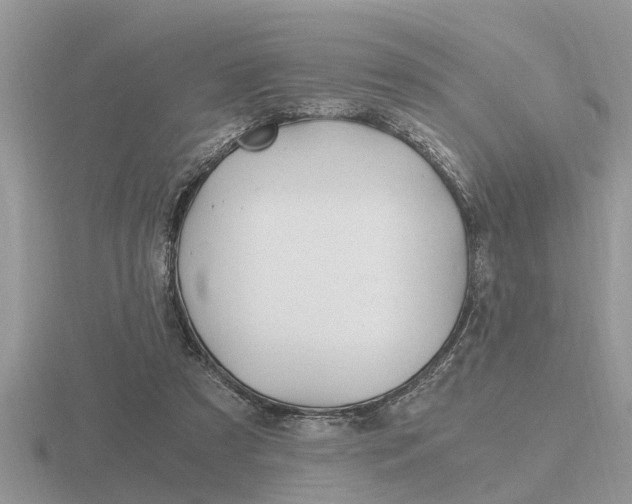 X0000116640305200912140950