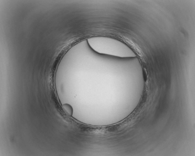 X0000116640306200912140950