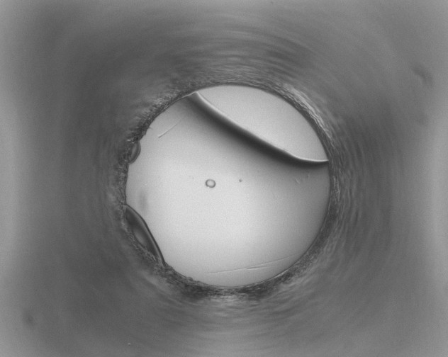 X0000116640307200912140950