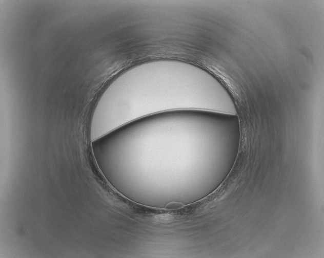 X0000116640309200912140950