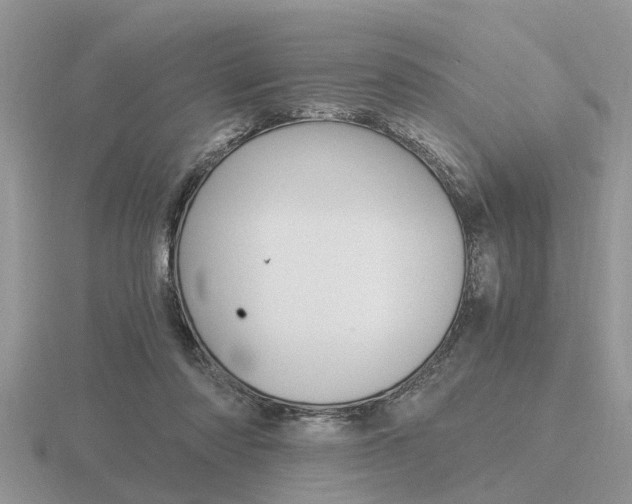 X0000116640310200912140950