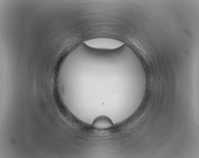 X0000116640311200912140950