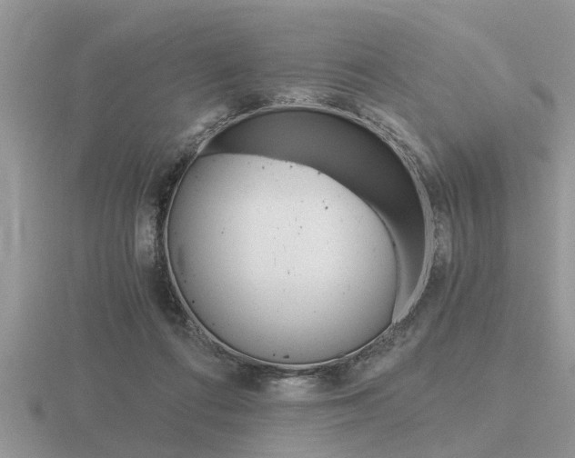 X0000116640312200912140950