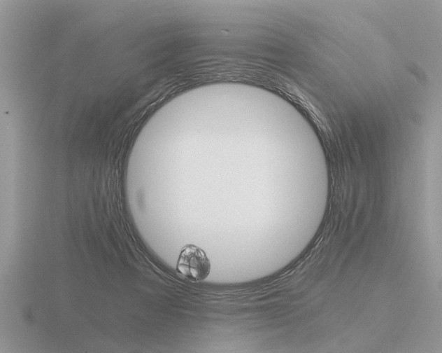 X0000116640313200912140950