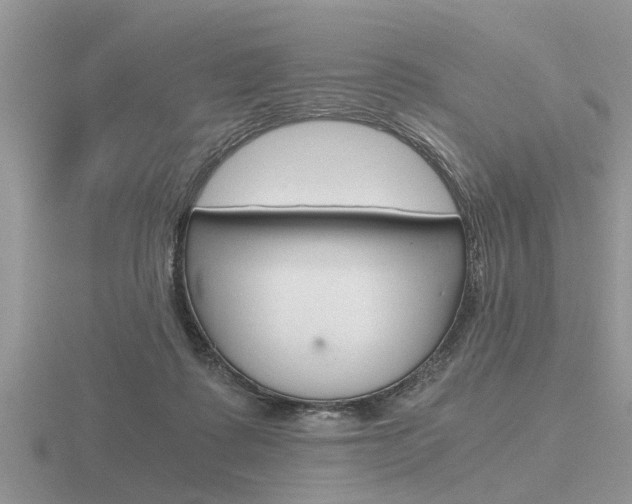 X0000116640315200912140950