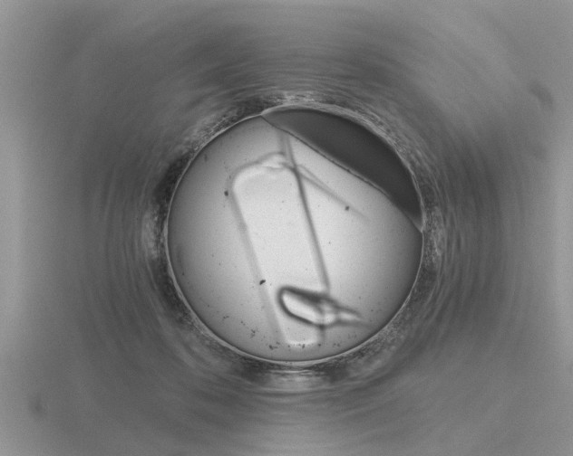 X0000116640316200912140950