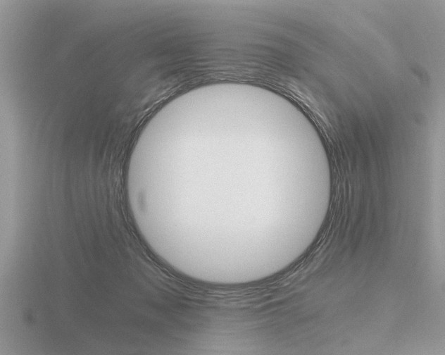 X0000116640317200912140950