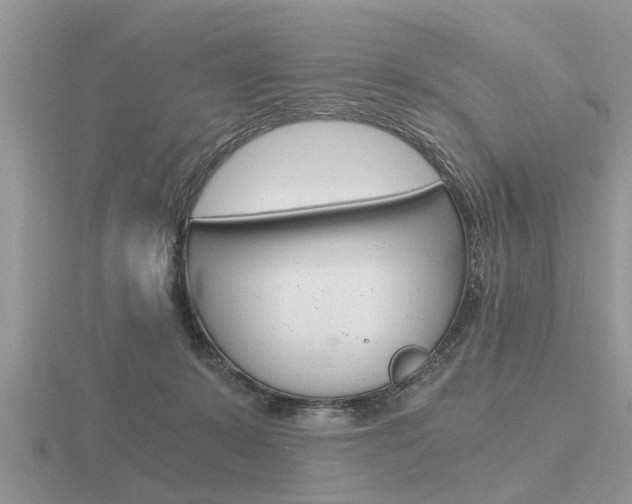 X0000116640319200912140950