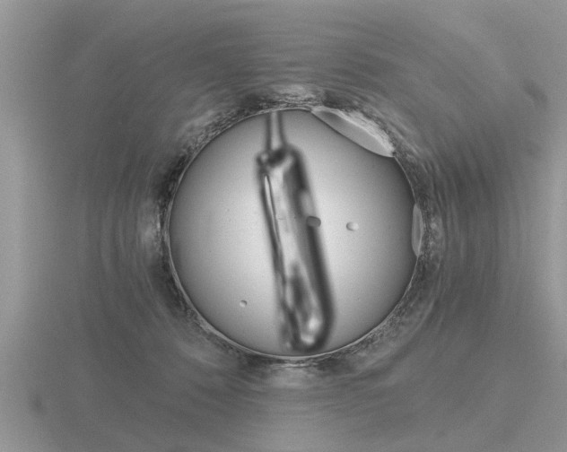 X0000116640320200912140950