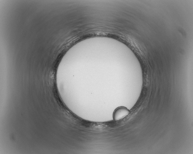 X0000116640321200912140950