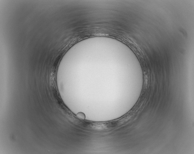 X0000116640322200912140950