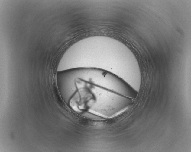 X0000116640324200912140950