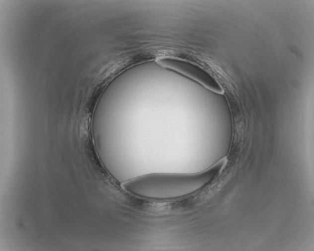 X0000116640325200912140950