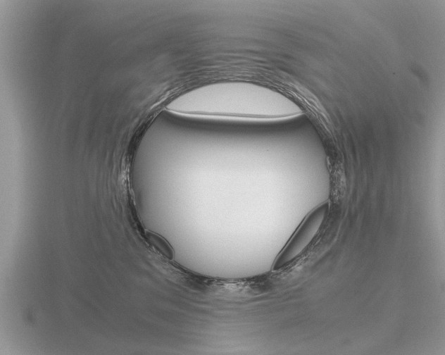 X0000116640329200912140950