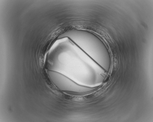 X0000116640332200912140950