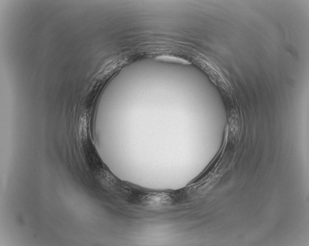 X0000116640333200912140950