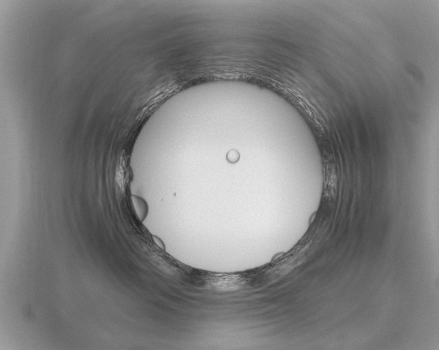 X0000116640334200912140950