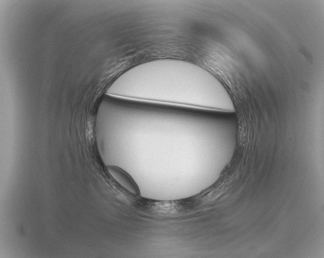 X0000116640335200912140950