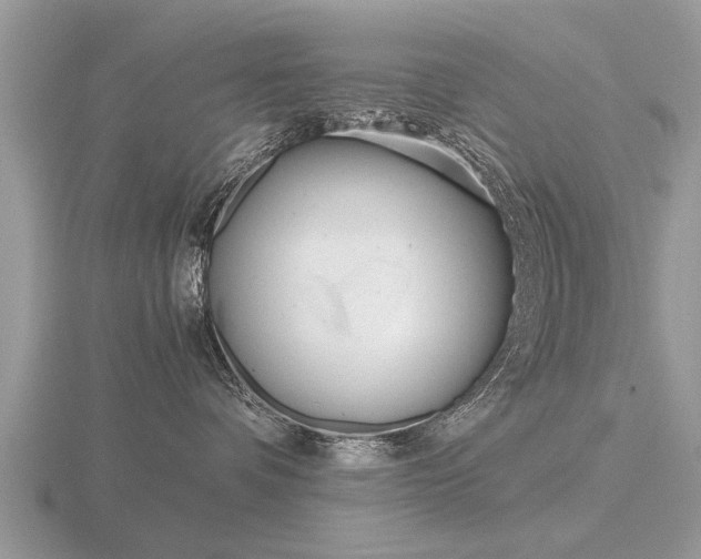 X0000116640336200912140950