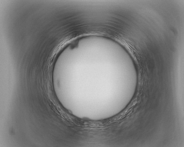 X0000116640337200912140949