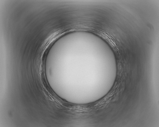 X0000116640338200912140949